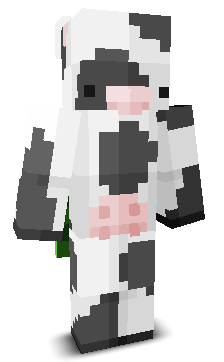 User's Minecraft appearance