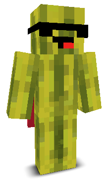 User's Minecraft appearance