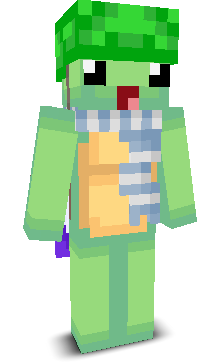 User's Minecraft appearance