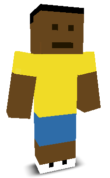 User's Minecraft appearance