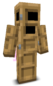 User's Minecraft appearance