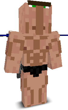 User's Minecraft appearance