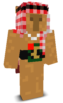 User's Minecraft appearance