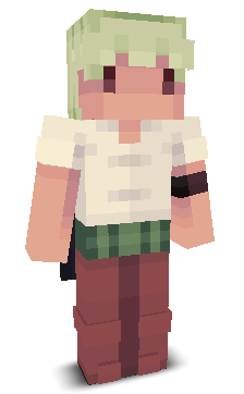 User's Minecraft appearance