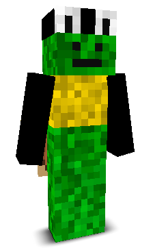 User's Minecraft appearance
