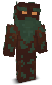 User's Minecraft appearance