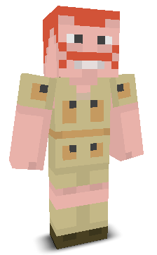 User's Minecraft appearance