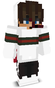 User's Minecraft appearance