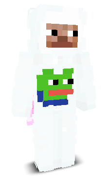 User's Minecraft appearance