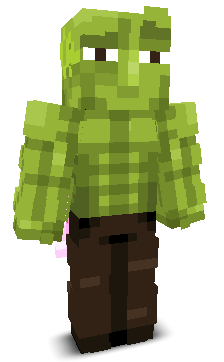 User's Minecraft appearance