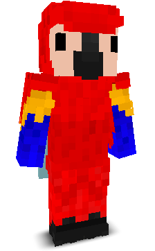User's Minecraft appearance
