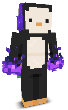 User's Minecraft appearance