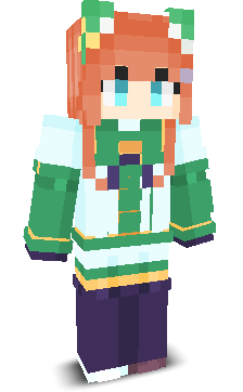 User's Minecraft appearance