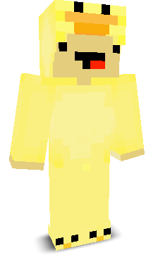 User's Minecraft appearance