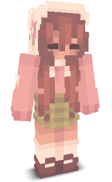 User's Minecraft appearance