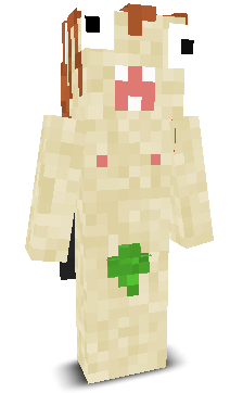 User's Minecraft appearance