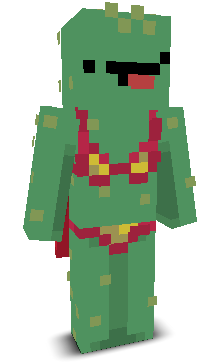 User's Minecraft appearance