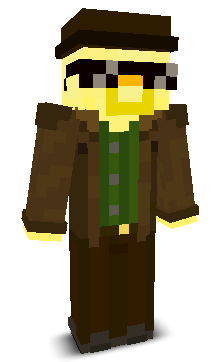 User's Minecraft appearance