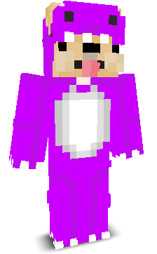 User's Minecraft appearance