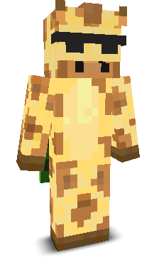 User's Minecraft appearance