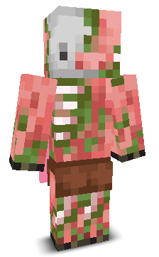 User's Minecraft appearance