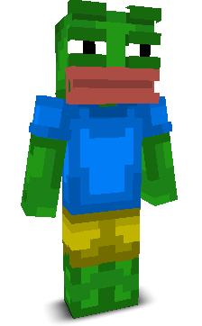 User's Minecraft appearance