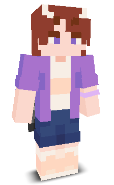 User's Minecraft appearance