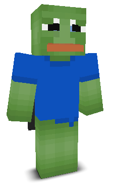 User's Minecraft appearance