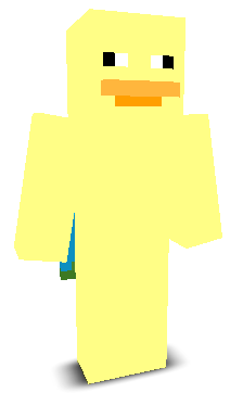 User's Minecraft appearance