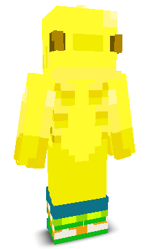 User's Minecraft appearance
