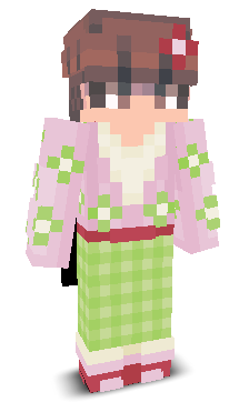 User's Minecraft appearance