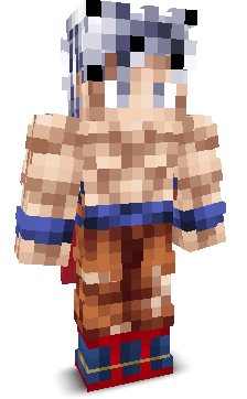 User's Minecraft appearance