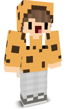 User's Minecraft appearance