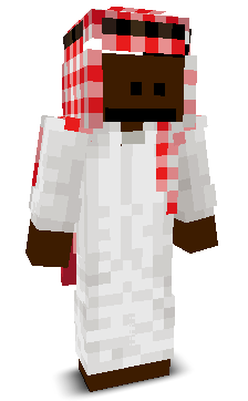 User's Minecraft appearance