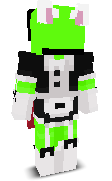 User's Minecraft appearance