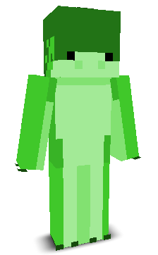 User's Minecraft appearance