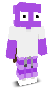 User's Minecraft appearance