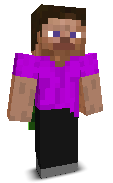 User's Minecraft appearance