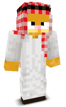 User's Minecraft appearance