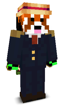 User's Minecraft appearance