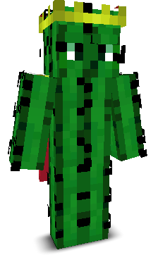 User's Minecraft appearance