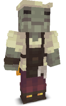 User's Minecraft appearance