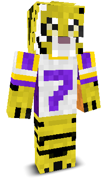 User's Minecraft appearance