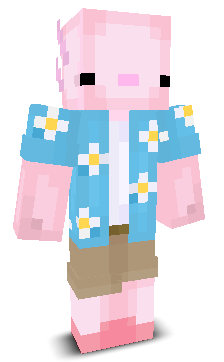 User's Minecraft appearance