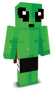 User's Minecraft appearance