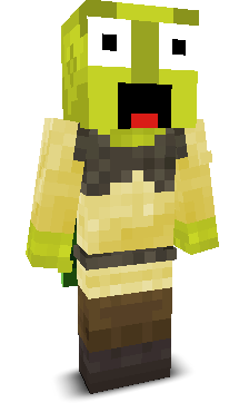 User's Minecraft appearance
