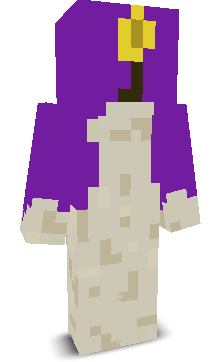 User's Minecraft appearance