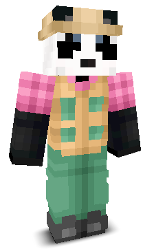 User's Minecraft appearance