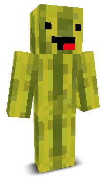 User's Minecraft appearance