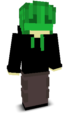 User's Minecraft appearance